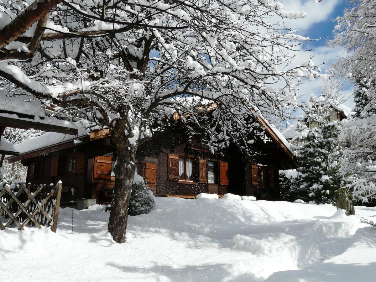 Chalet Des Glaciers Chamonix Exteriér fotografie