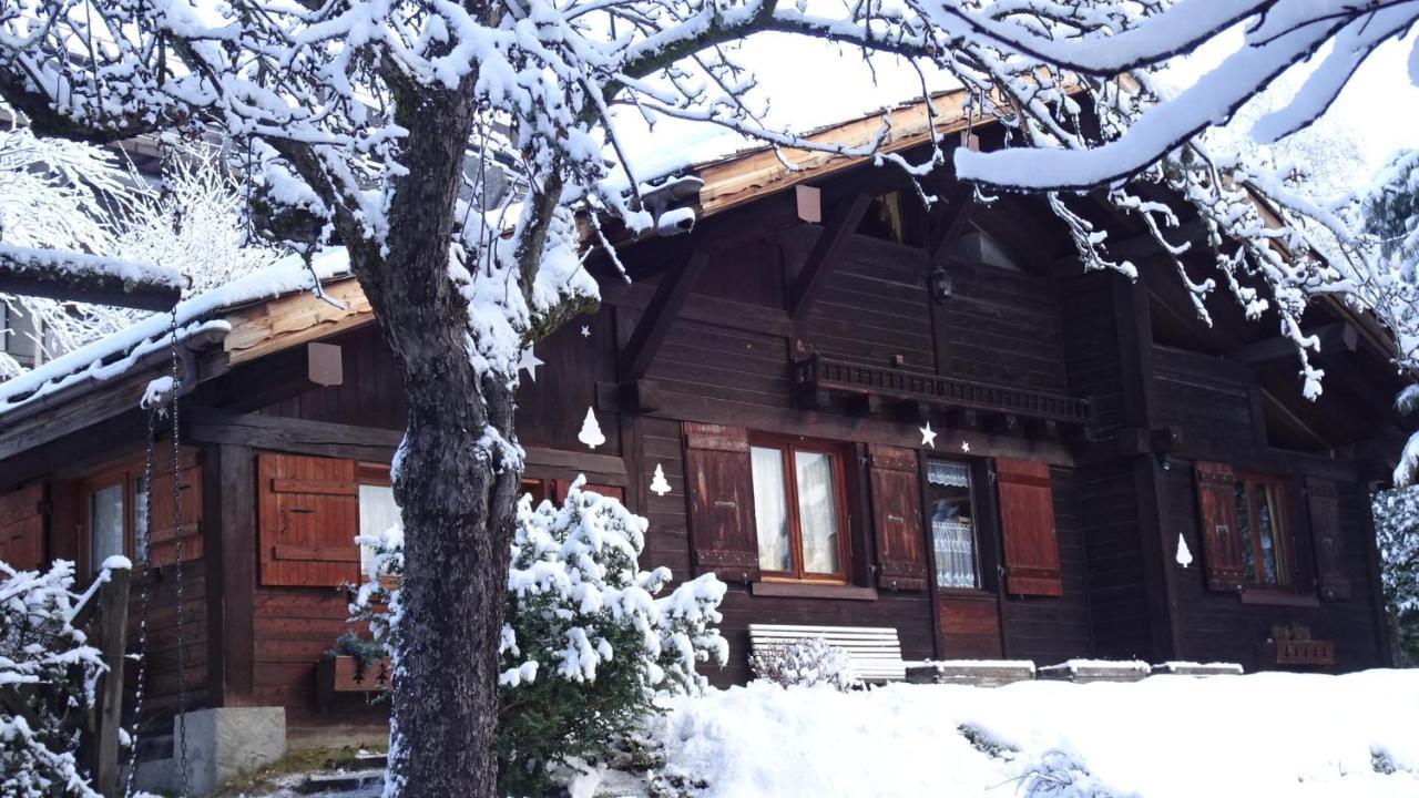Chalet Des Glaciers Chamonix Exteriér fotografie